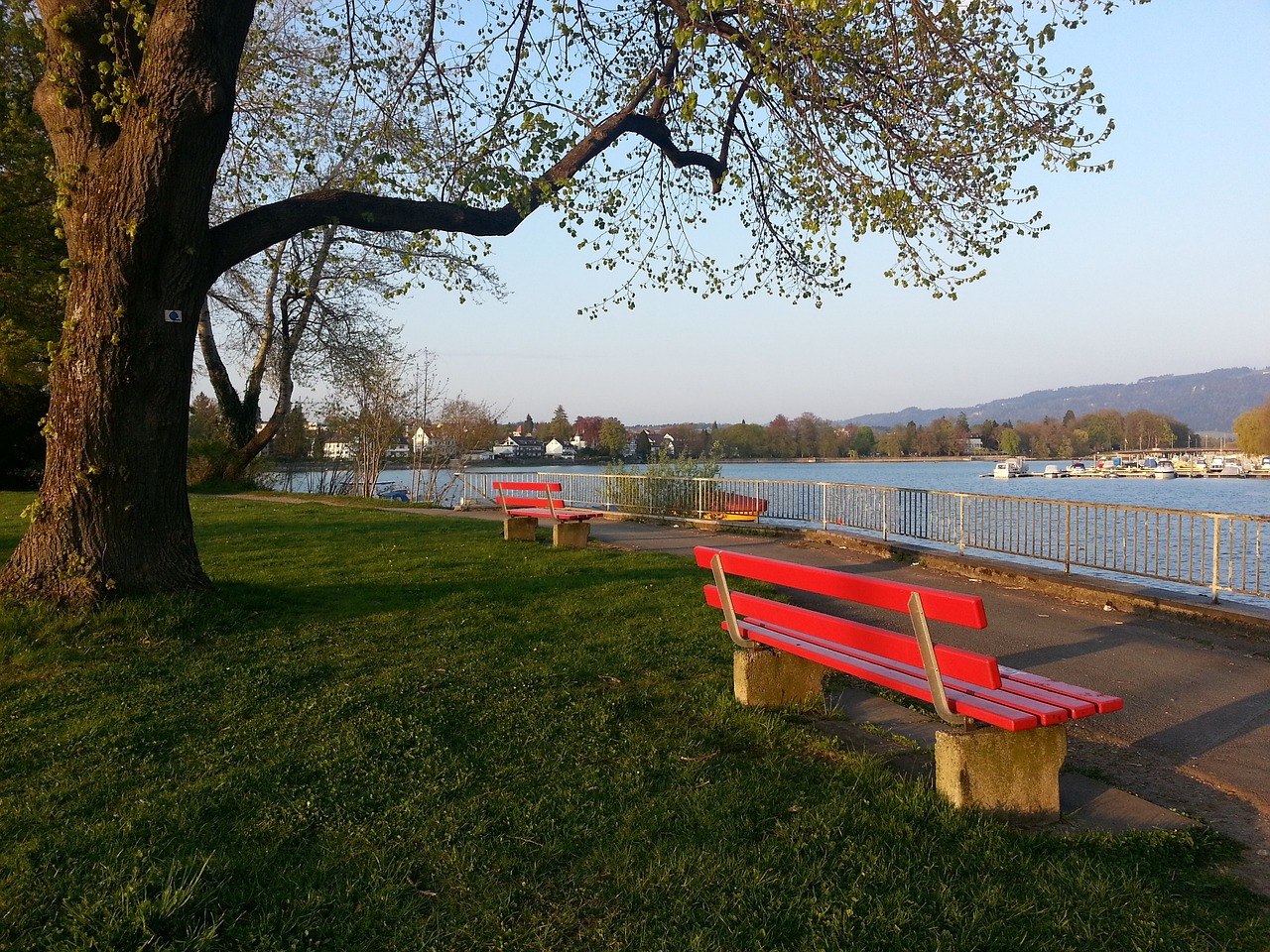 何冲击球队 何冲击球队