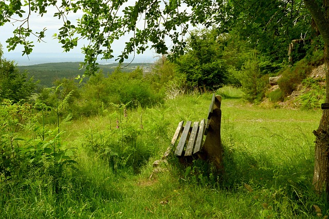 她不支持两 她不支持两