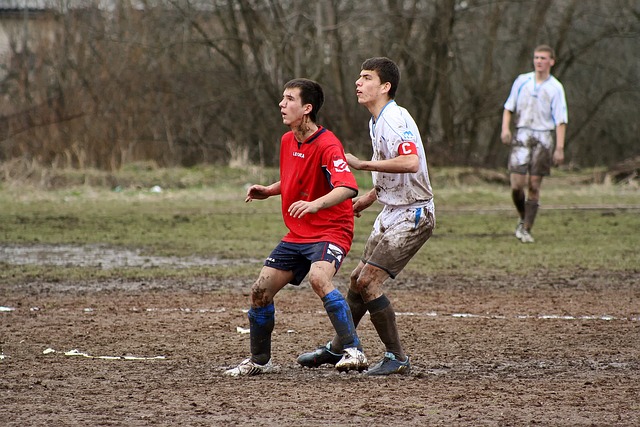 内线实力的 内线实力的