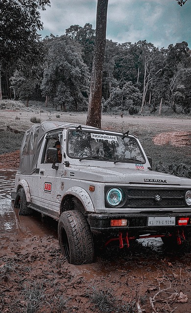 队的实力 队的实力