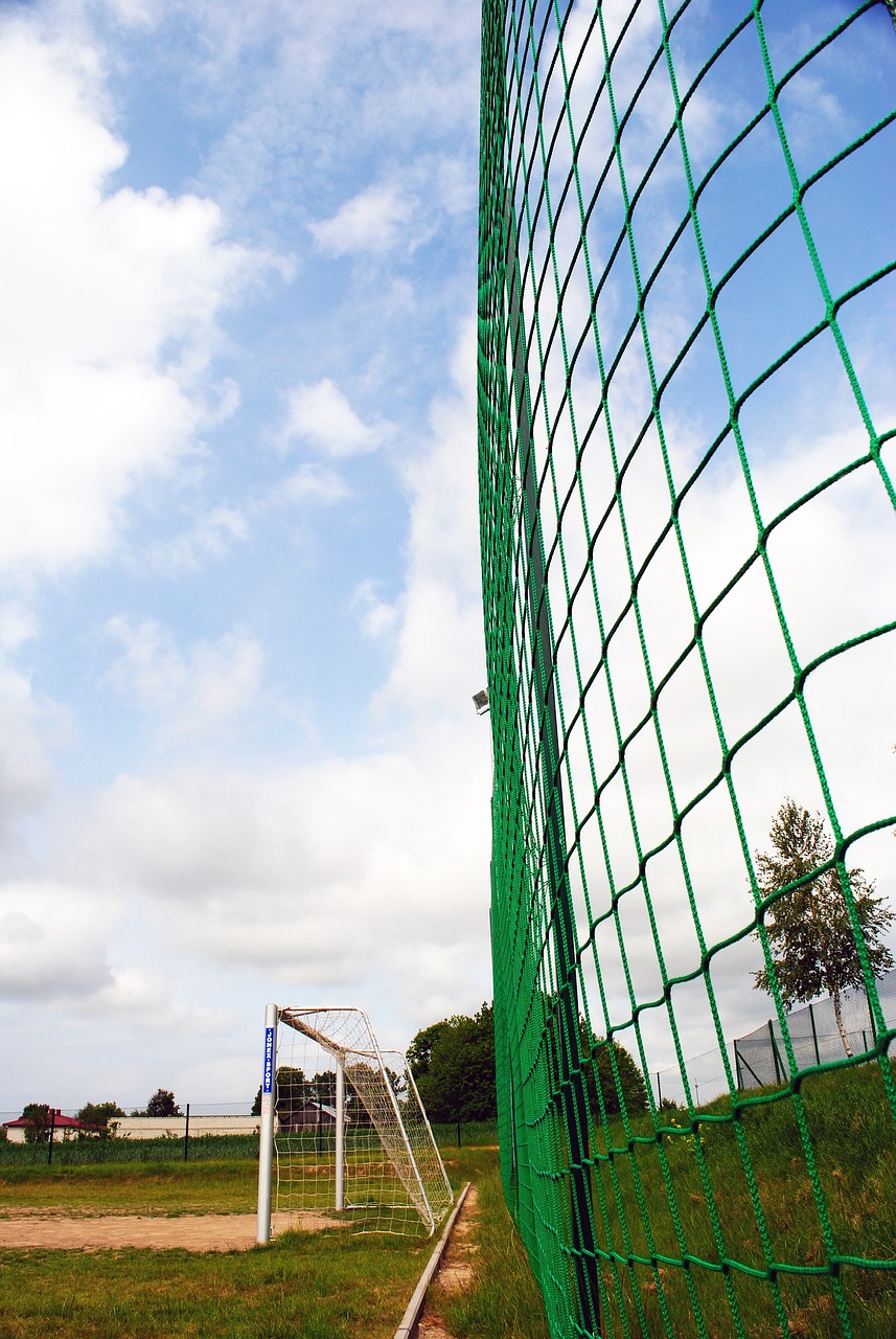 的新人还是 的新人还是